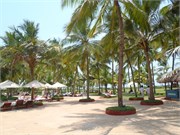 Goa_2014-56