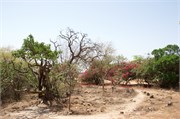 Salalah-Oman_43