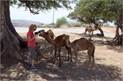 Salalah-Oman_49