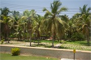 Salalah-Oman_77
