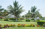Salalah-Oman_79