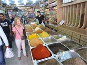 Aqaba-2014_15