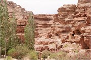 Petra2014_109