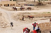 Petra2014_3