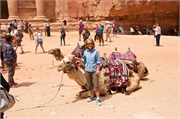 Petra2014_56
