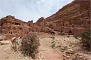 Petra2014_70