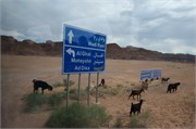 WadiRum20142