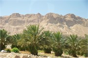 22_IsraelScenery_15