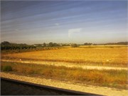 4_IsraelTrain_3
