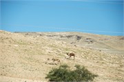 8_IsraelScenery_1