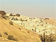104_Jerusalem2014_79