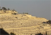 109_Jerusalem2014_84