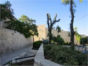 70_Jerusalem2014_45
