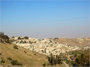 83_Jerusalem2014_58