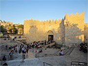91_Jerusalem2014_66