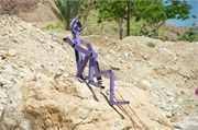 DeadSea2014_8