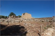 82-Knossos