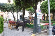36-Sorrento