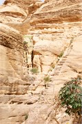155_Petra2014_77