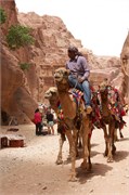 174_Petra2014_230