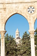 224_Israel2014318