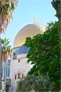229_Israel2014340
