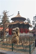 7_Beijing_a165