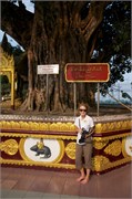 75_Yangon_b604
