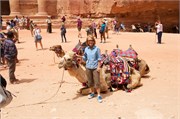 91_Petra2014_221