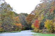 MtMitchell2014_20