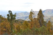 MtMitchell2014_30