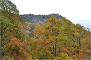 MtMitchell2014_31