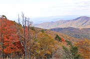 MtMitchell2014_40