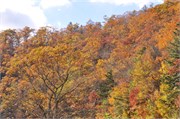MtMitchell2014_41
