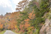 MtMitchell2014_43