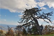 MtMitchell2014_44