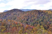 MtMitchell2014_49