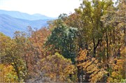 MtMitchell2014_5