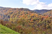 MtMitchell2014_51