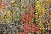 MtMitchell_16