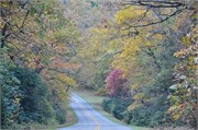 MtMitchell_19
