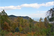 MtMitchell_27