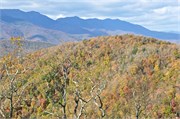 MtMitchell_34