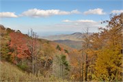 MtMitchell_37