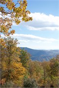 MtMitchell_9