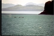 Alaska3__2