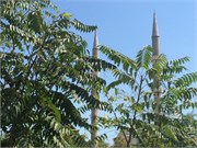 IMG_4674