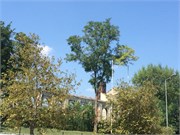 IMG_4681