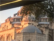 IMG_4694
