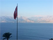IMG_4771